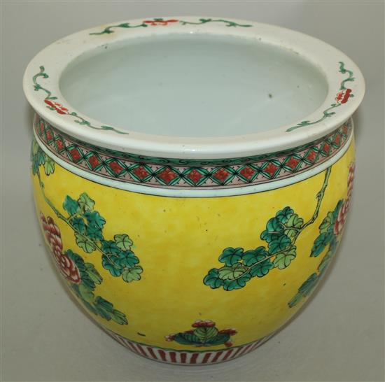 A Chinese yellow ground fish bowl, late 19th century, diameter 26cm